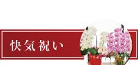 カテゴリー