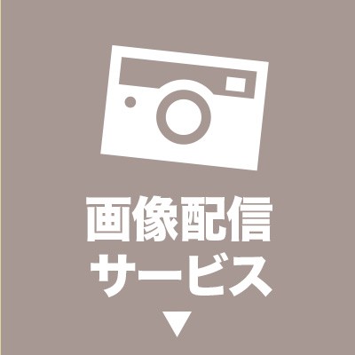画像配信サービス