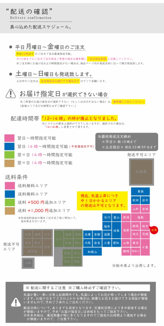 MSD胡蝶蘭