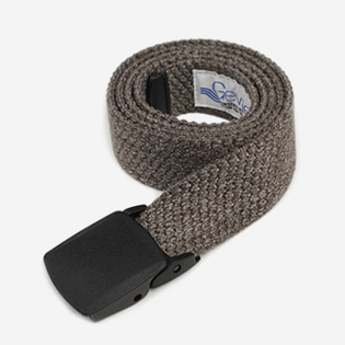 �l�C�̃J�W���A���x���g