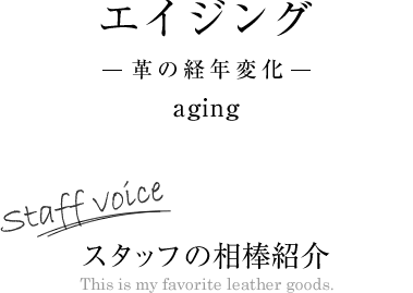 エイジング -革の経年変化-