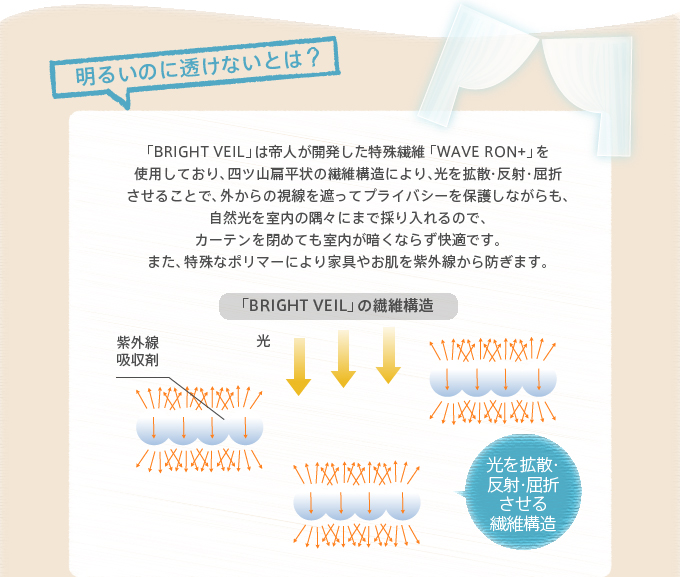 �l�c�R�G����̑@�ۍ\���ɂ��A�������Ղ�A���R�����̂�����