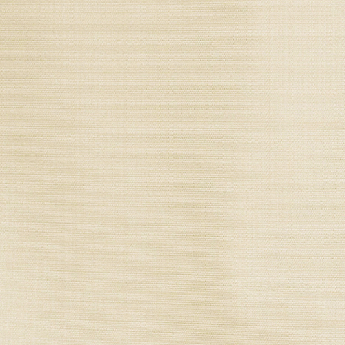 �A�C�{���[(CC9120IV)