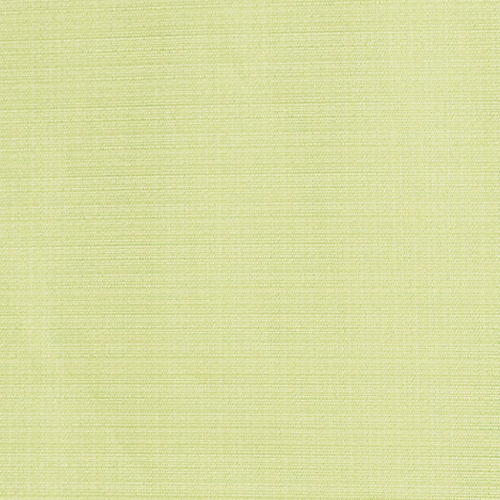 ���C�g�O���[��(CC9120LGN)
