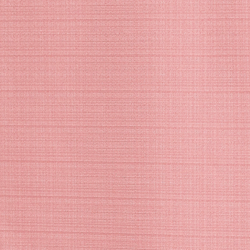�s���N(CC9120PI)