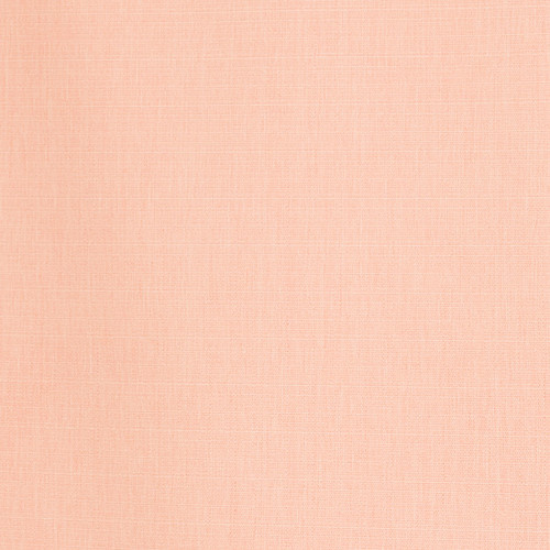 �s���N(CC9138PI)