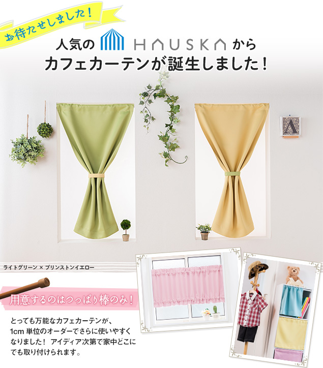 �l�C��HAUSKA����J�t�F�J�[�e�����a�����܂����I