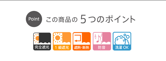 5�̃|�C���g