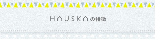 HAUSKA�̓���