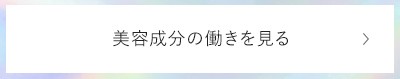 ���e�����̓���������