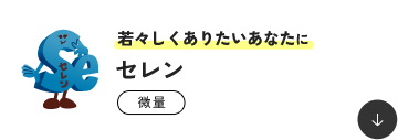 ��X�������肽�����Ȃ��� �Z���� ����
