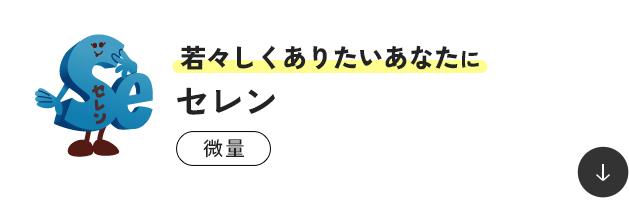 ��X�������肽�����Ȃ��� �Z���� ����