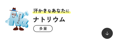 �������Ȃ��Ȃ��� �i�g���E�� ����