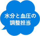 �����ƌ����̒����S��