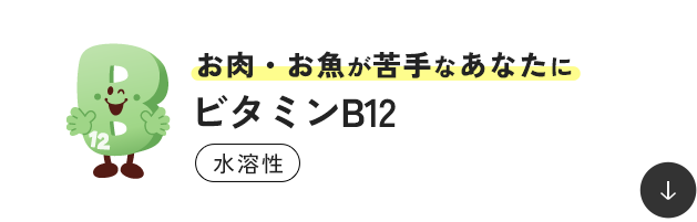 �����E���������Ȃ��Ȃ��� �r�^�~��B12 ���n��