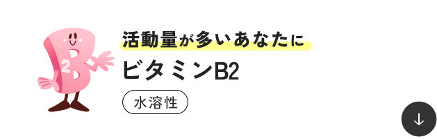 �����ʂ��������Ȃ��� �r�^�~��B2 ���n��