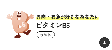 �����E�������D���Ȃ��Ȃ��� �r�^�~��B6 ���n��