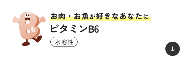 �����E�������D���Ȃ��Ȃ��� �r�^�~��B6 ���n��