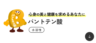 �S�g�̔��ƌ��N�����߂邠�Ȃ��� �p���g�e���_ ���n��