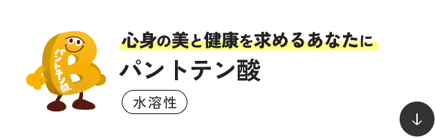 �S�g�̔��ƌ��N�����߂邠�Ȃ��� �p���g�e���_ ���n��