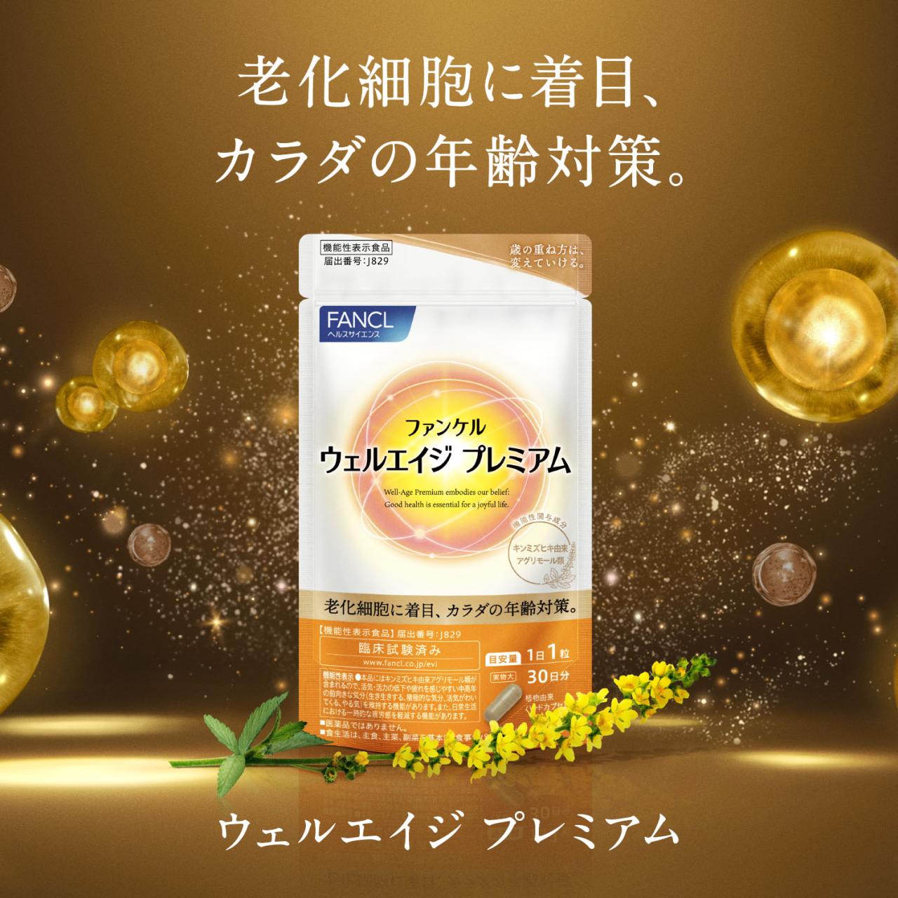 �t�@���P�� �E�F���G�C�W�v���~�A��