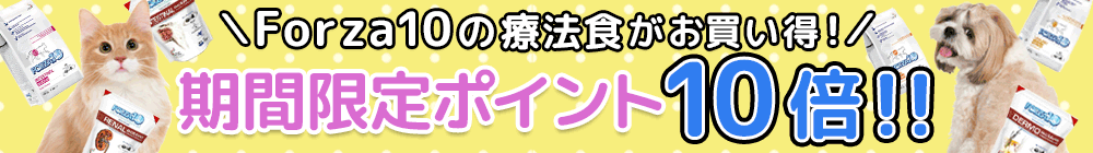 Forzaポイント10倍