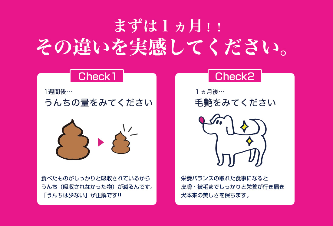 ���[�J�k�o�̂������5