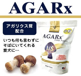 �A�[�e�~�X