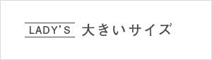 ���f�B�[�X�傫���T�C�Y