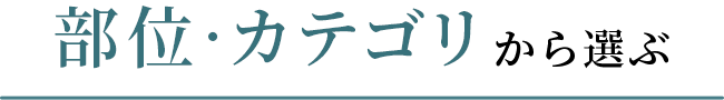 ���ʁE�J�e�S������I��