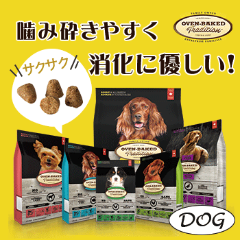 �I�[�u���x�C�N�hDOG