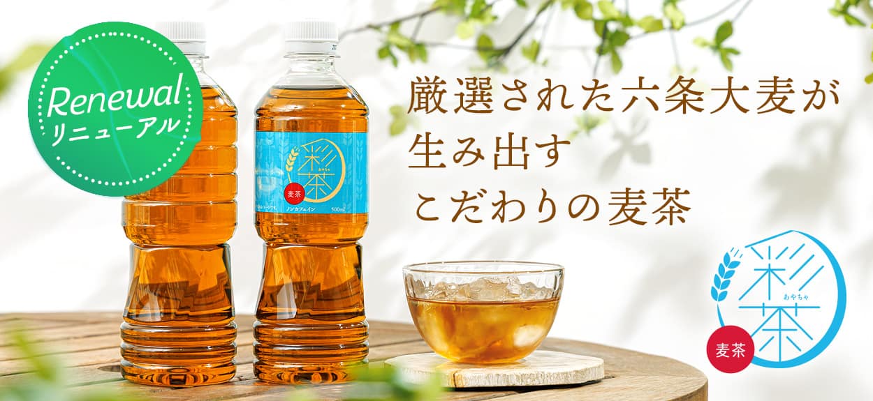�ʒ� -���₿��- ����