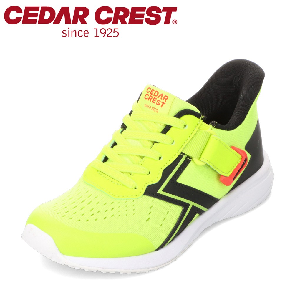 �X�p�b�g�V���[�Y�i�X�j�[�J�[�^�C�v�j