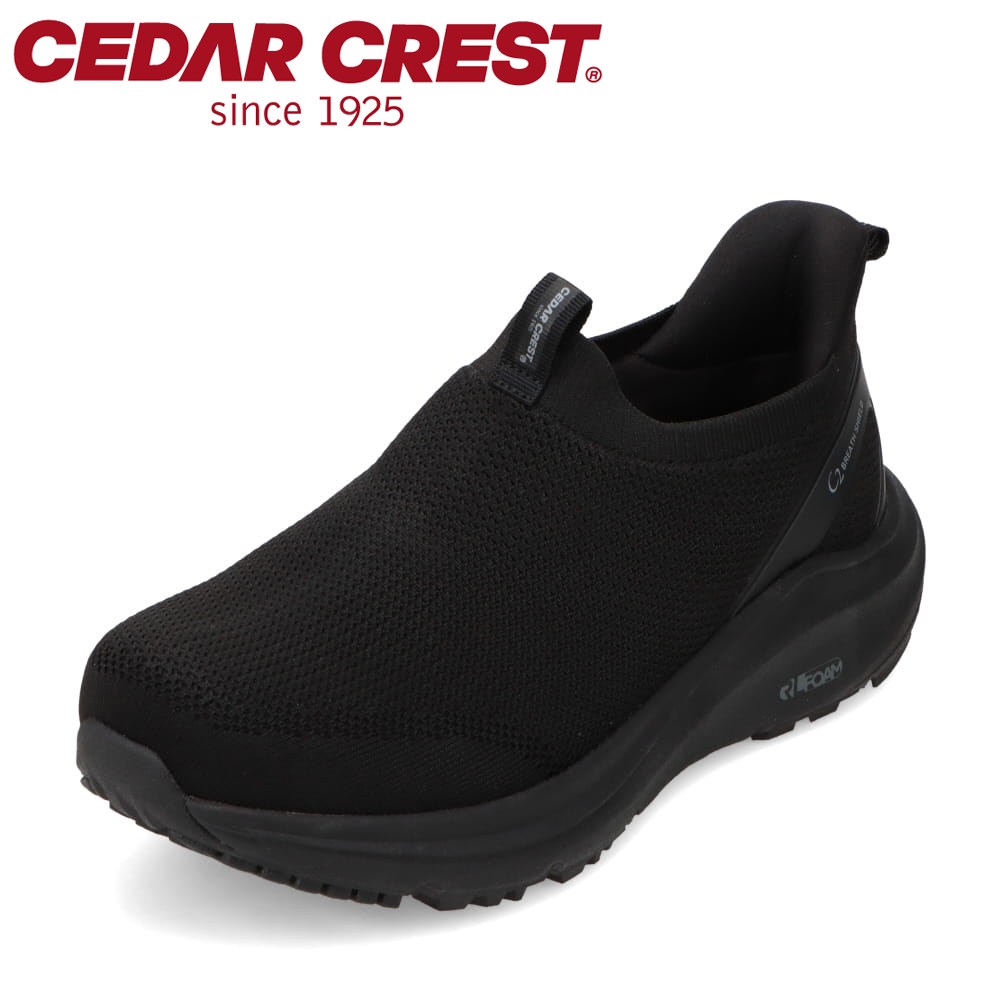 �X�p�b�g�V���[�Y�i�X�j�[�J�[�^�C�v�j