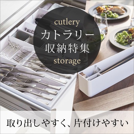 �J�g�����[���[���W