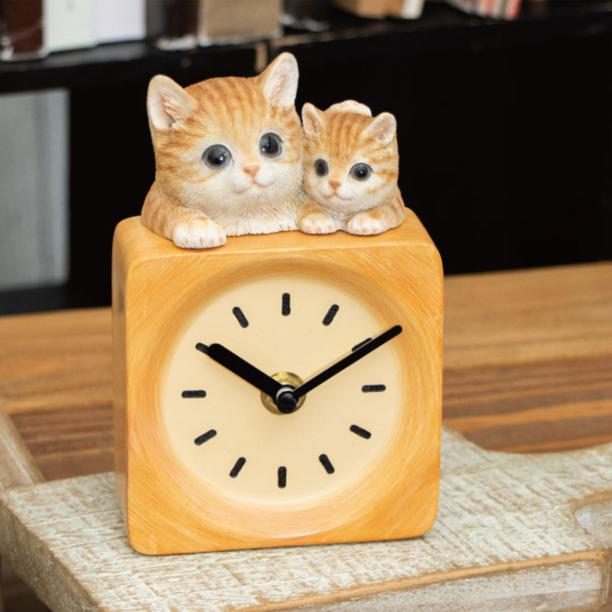 �u���v �x�j�[�Y�L���b�g �N���b�N �l�R