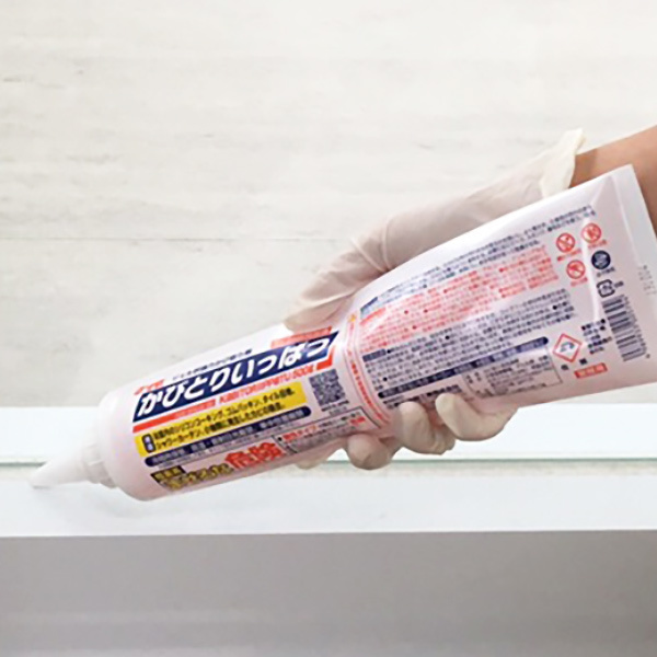 Jr тƂ肢ς JrWF 500 JrƂ Ɩp 