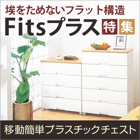 �t�B�b�c�`�F�X�g���W