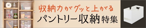 �p���g���[���[���W