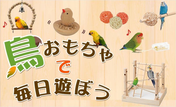 鳥おもちゃで毎日遊ぼう