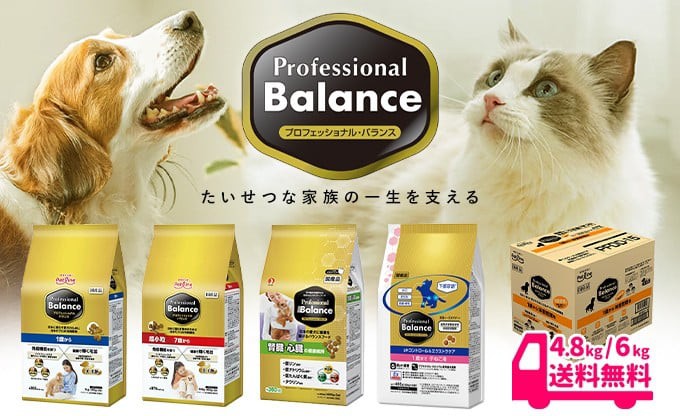 プロフェッショナル・バランス
