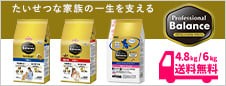 プロフェッショナル・バランス