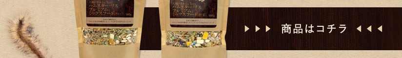商品はコチラ