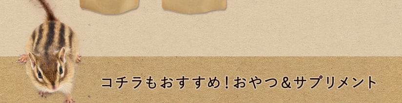コチラもおすすめ！おやつ＆サプリメント