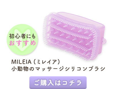 MILEIA(~CA) ̃}bT[WVRuV