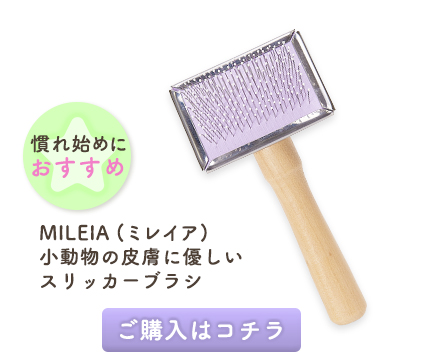 MILEIAi~CAj ̔畆ɗDXbJ[uV