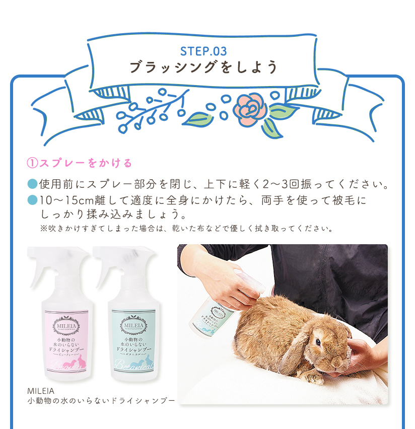 STEP.03 ubVO悤