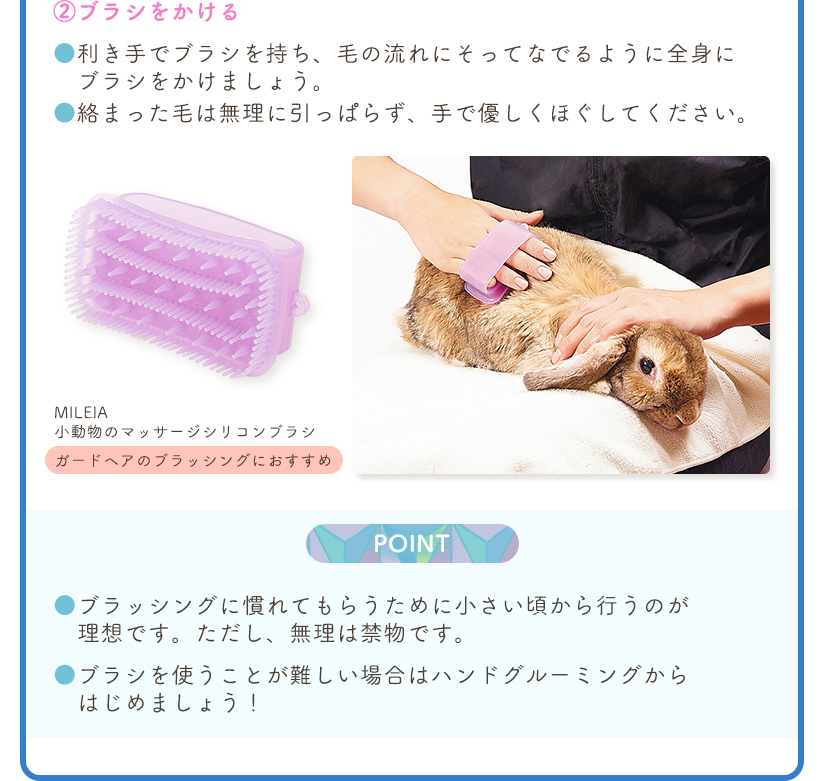 STEP.03 ubVO悤