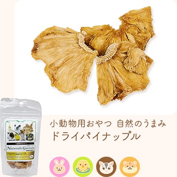 小動物用おやつ 自然のうまみ ドライパイナップル