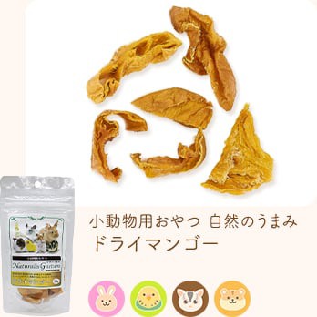小動物用おやつ 自然のうまみ ドライマンゴ